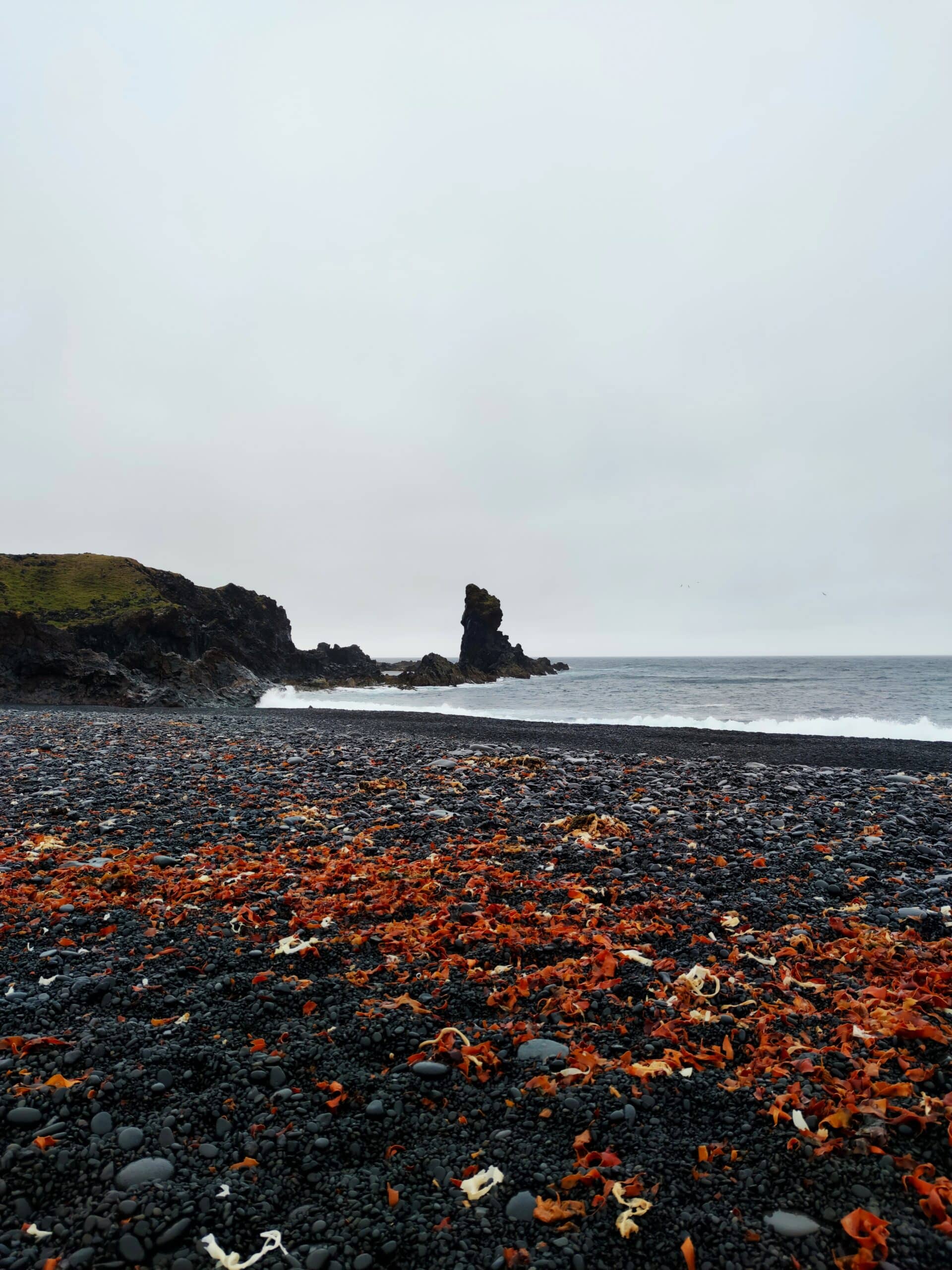 Plage de Djupalonssandur sur la péninsule de Snæfellsnes en Islande