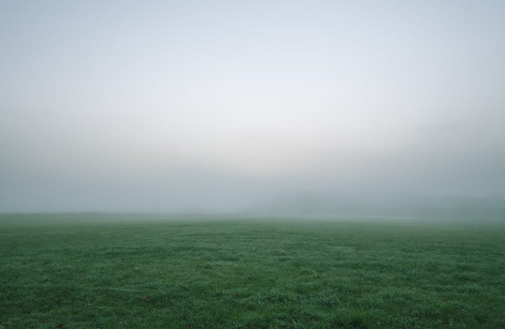 Brouillard dense, photo de James Wheeler via Pexels