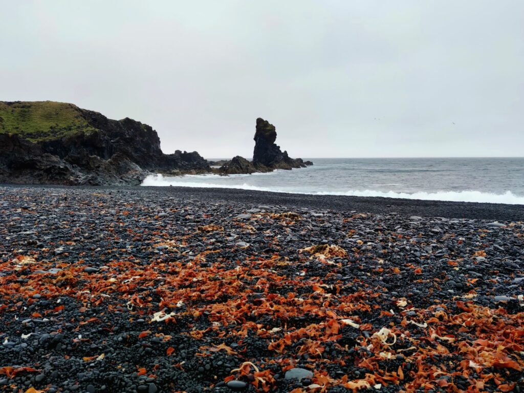 Plage de sable noir à Djupalonssandur sur la péninsule de Snaefellsnes en Islande
