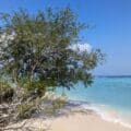 Quelle île choisir aux Gili ? Plage déserte de Gili Meno, avec sable blanc et eau turquoise